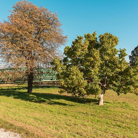 Halászcsárda-Panzió Körmend Exterior foto